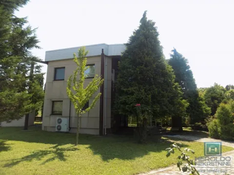 Izdavanje, poslovni prostor, 270m², 7. juli, Paraćin - image 12