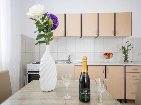 Stan-na-dan, jednosoban stan, 45m², Centar, Bar - image 3