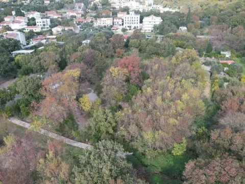 Sale, land lot, 2673m², Buljarica, Budva - image 6