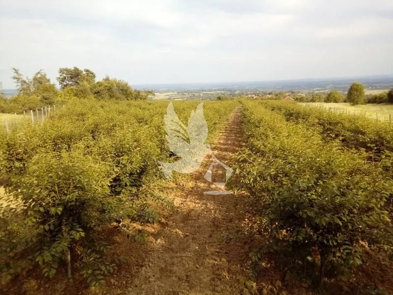 Prodaja, plac, 13700m², Koraćica, Mladenovac