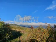 Prodaja, plac, Mladenovac, Beograd - image 4