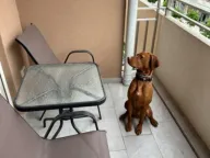 Izdavanje, jednosoban stan, 51m², Central Point, Podgorica - image 2