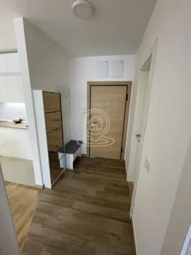 Izdavanje, jednosoban stan, 40m², Telep, Novi Sad Sve Podlokacije - image 5