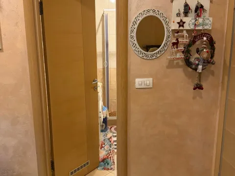 Prodaja, jednosoban stan, 44m², Zabjelo, Podgorica - image 4