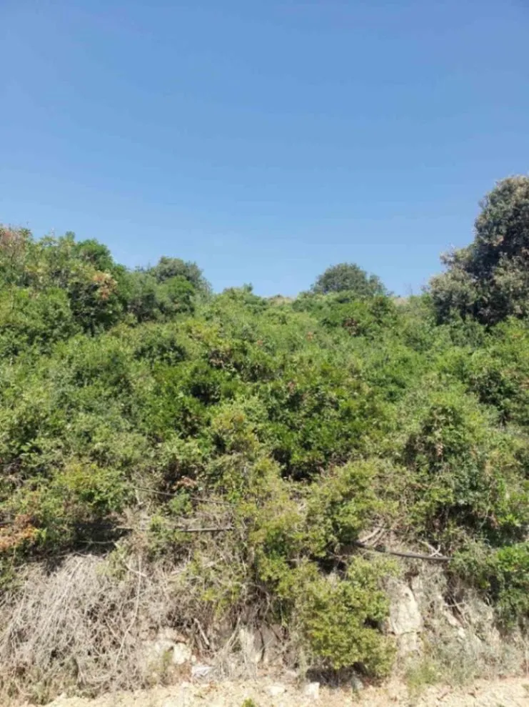 Prodaja, plac, 300m², Dobre Vode, Bar