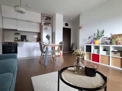 Izdavanje, dvosoban stan, 40m², Dušanovac, Voždovac Sve Podlokacije - image 10