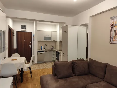 Izdavanje, jednosoban stan, 40m², Centar, Budva - image 15
