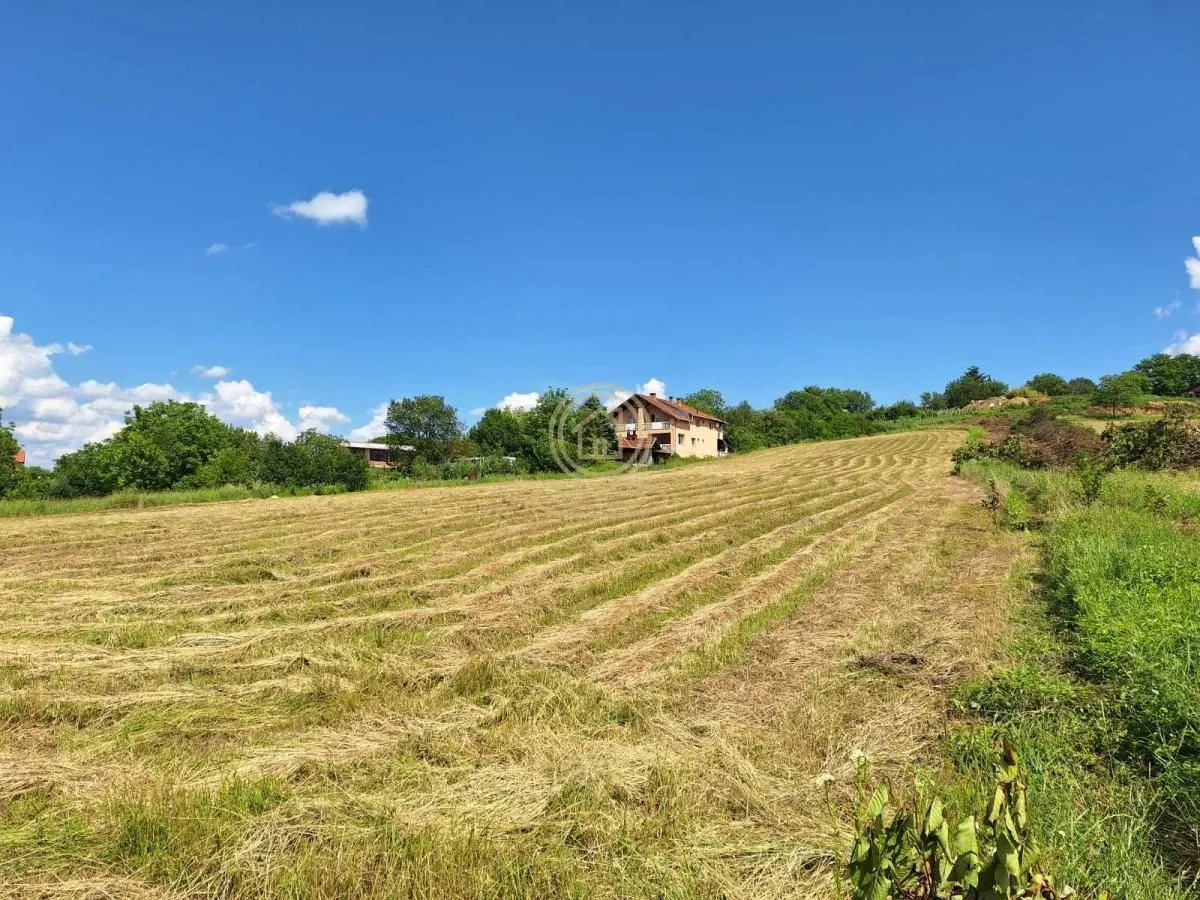 Prodaja, plac, 644m², Sremska Kamenica, Petrovaradin