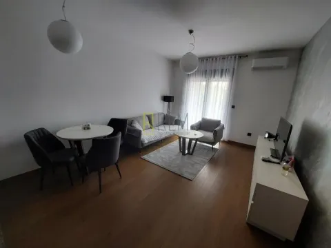 Izdavanje, jednosoban stan, 48m², Ljubović, Podgorica - image 9