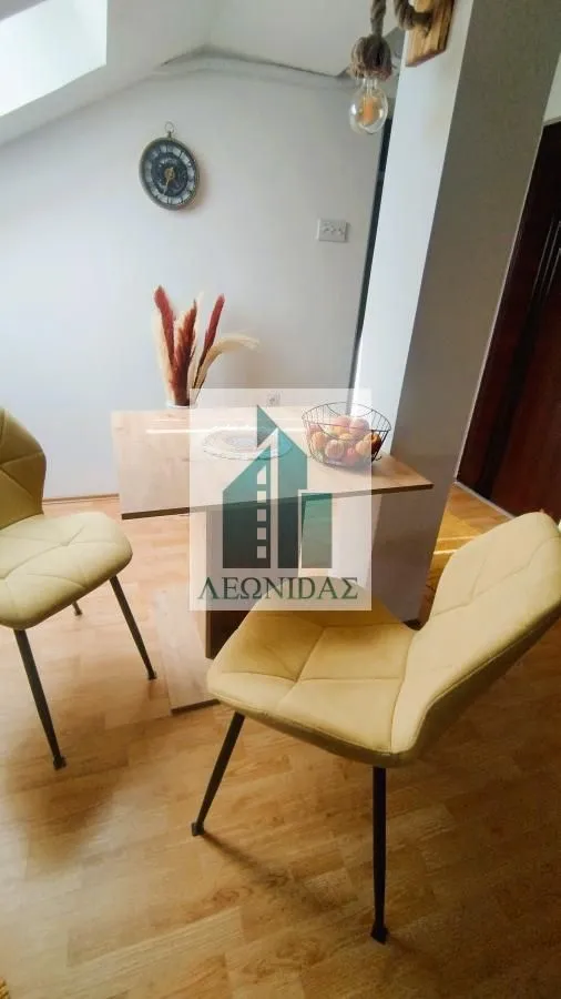Izdavanje, garsonjera, 24m², Pantelej, Niš