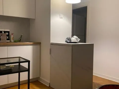 Izdavanje, trosoban stan, 46m², Stari Merkator, Novi Beograd Sve Podlokacije - image 2