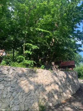 Sale, house, 95m², Crkvine, Kolašin - image 20