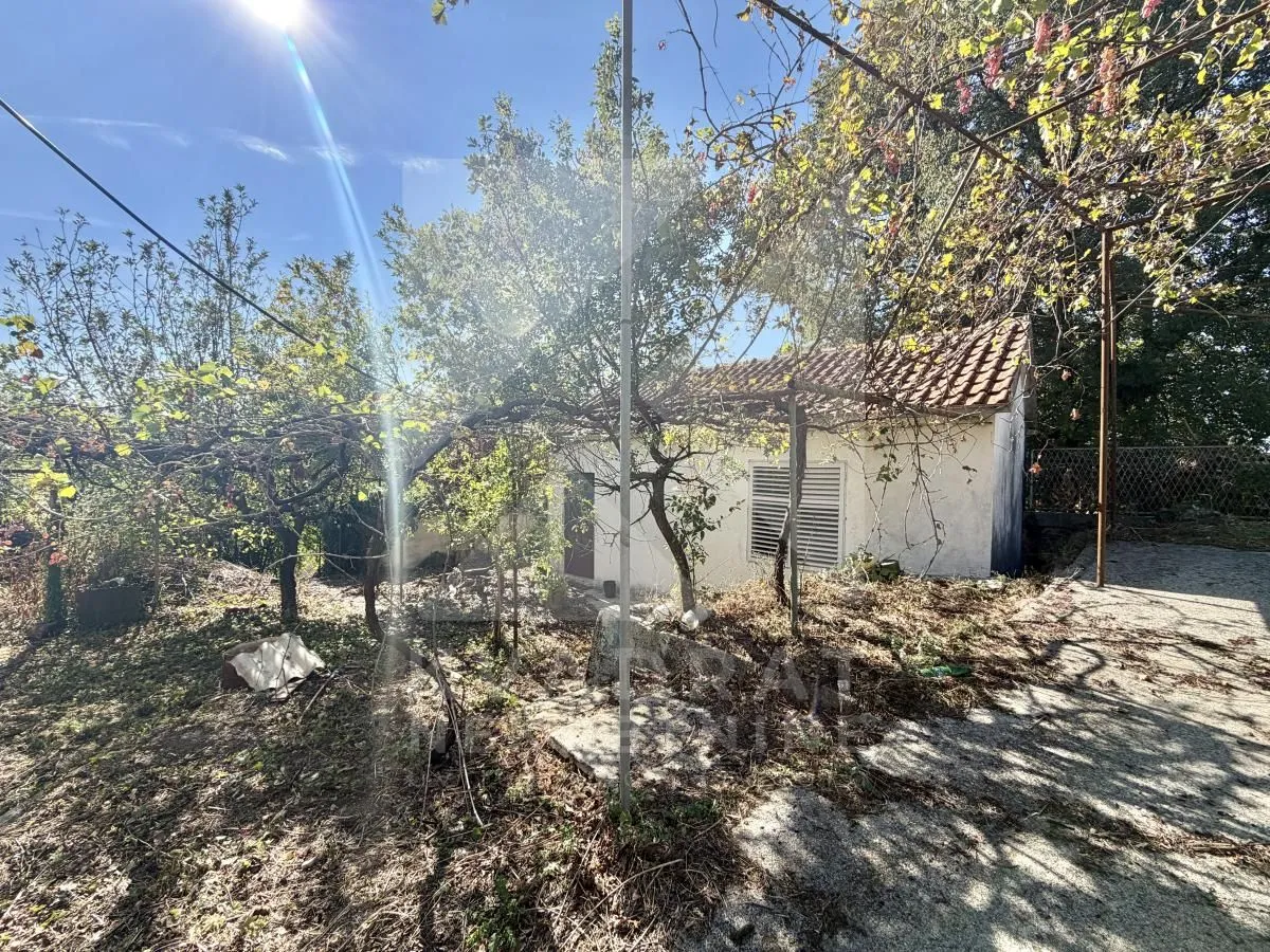 Pogled na dvorište i manji pomoćni objekat okružen drvećem i rastinjem.