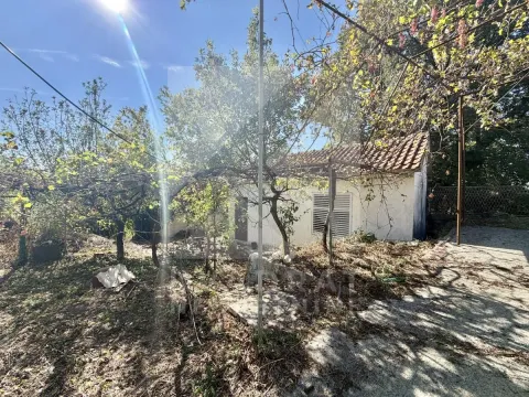 Pogled na dvorište i manji pomoćni objekat okružen drvećem i rastinjem. - image 10