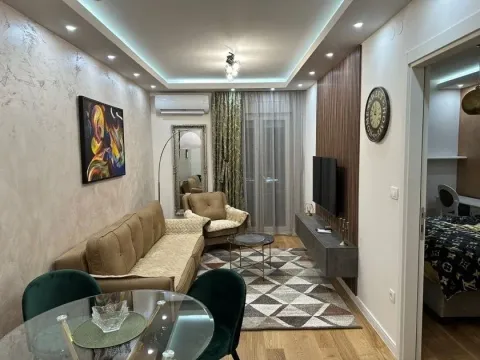 Izdavanje, jednosoban stan, 40m², Central Point, Podgorica - image 3