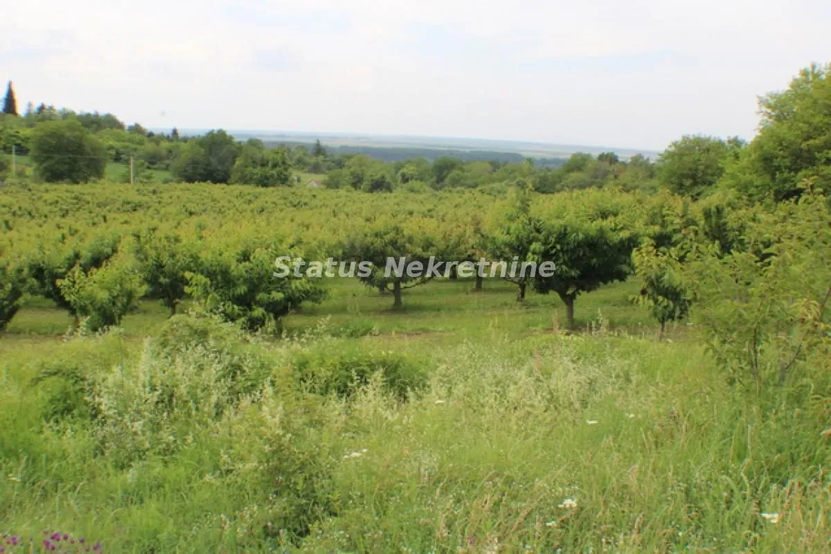 Prodaja, plac, 114m², Krčedin, Inđija
