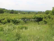 Sale, land lot, 114m², Krčedin, Inđija - image 8
