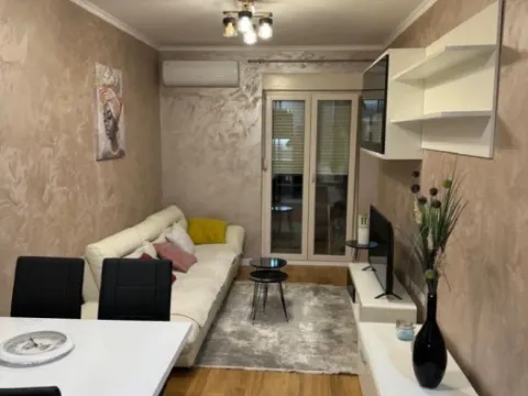 Izdavanje, jednosoban stan, 45m², Central Point, Podgorica - image 3