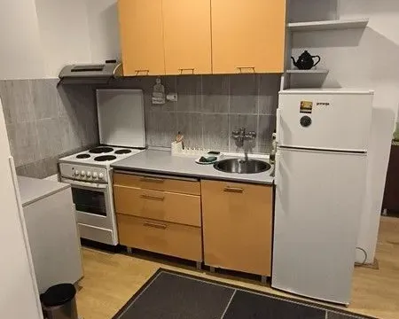 Izdavanje, jednosoban stan, 33m², Krnjaca, Palilula Sve Podlokacije - image 3