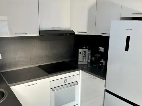 Izdavanje, kuća, 60m², Adice, Novi Sad Sve Podlokacije - image 5