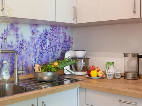 Rent, one bedroom apartment, 52m², Grbavica, Novi Sad Sve Podlokacije - image 2