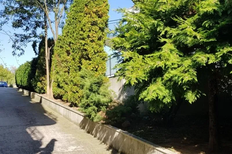 Izdavanje, kuća, 310m², Savski Venac, Beograd