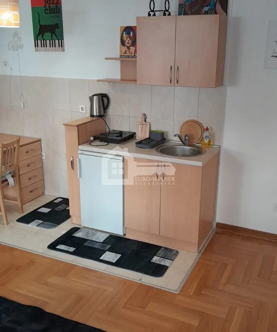 Izdavanje, jednosoban stan, 32m², Neimar, Vračar Sve Podlokacije