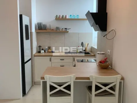 Izdavanje, jednosoban stan, 57m², Zemun Kej, Zemun Sve Podlokacije - image 7