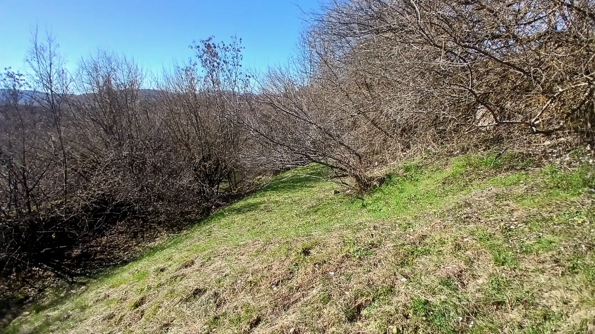 Prodaja, plac, 6256m², Čevo, Cetinje