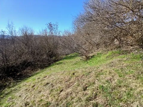 Prodaja, plac, 6256m², Čevo, Cetinje - image 11