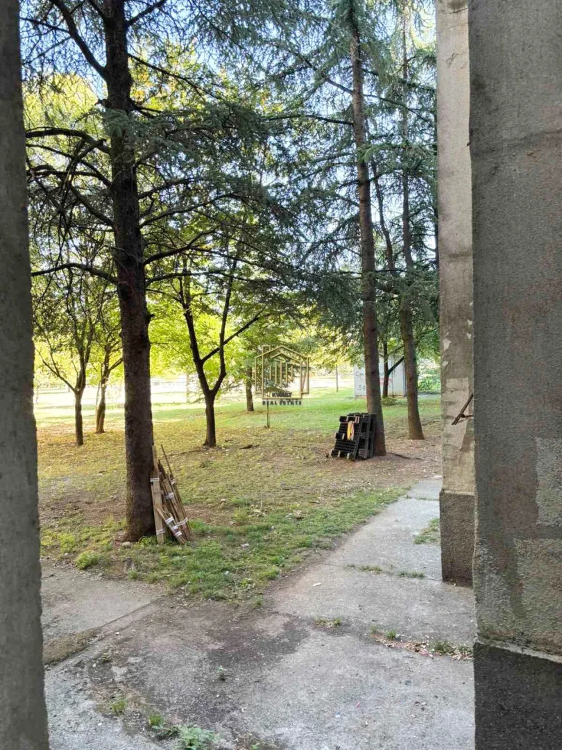 Pogled iz zgrade na dvorište puno zelenila i drveća.