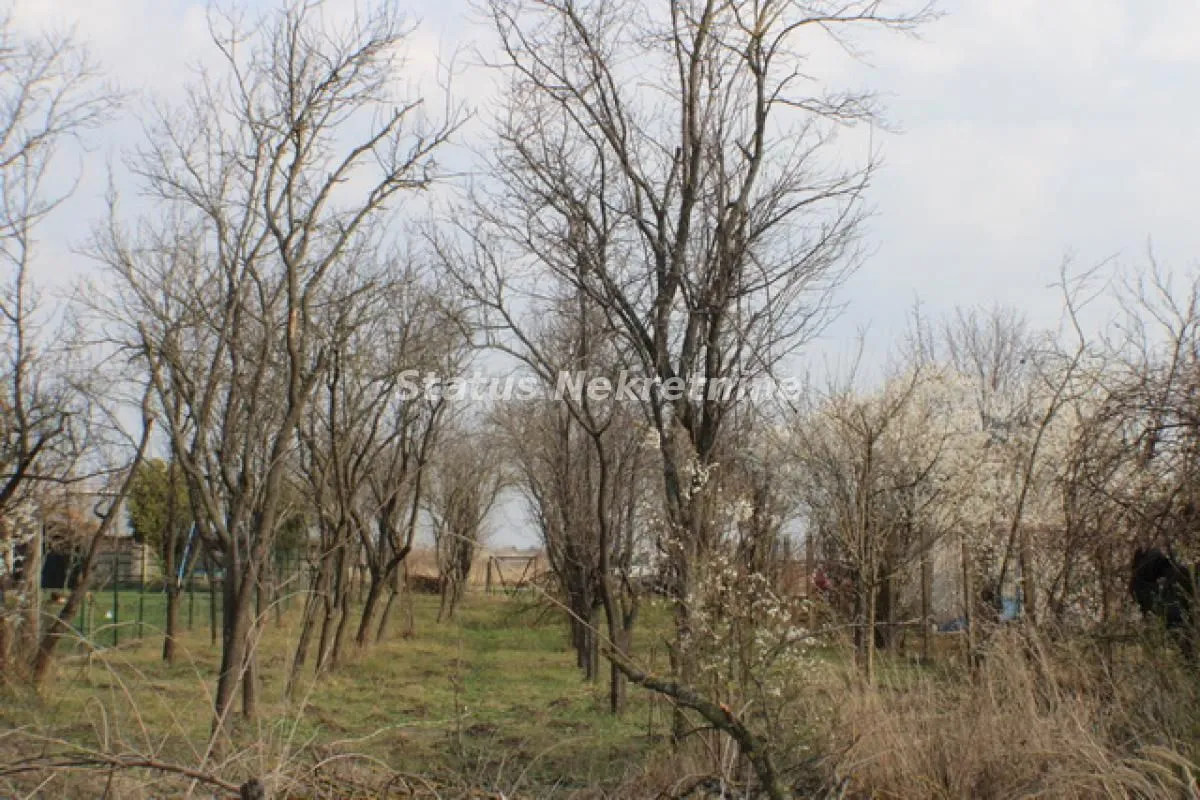 Prodaja, plac, 1000m², Zrenjanin, Srbija