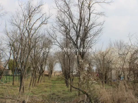 Prodaja, plac, 1000m², Zrenjanin, Srbija - image 4