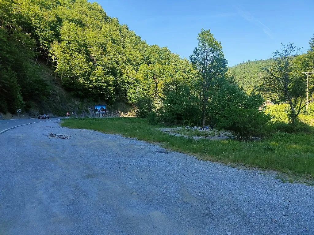 Pogled na zemljište pored puta sa šumovitim brdom u pozadini.