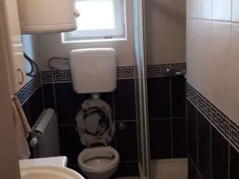 Izdavanje, kuća, 225m², Veternik, Novi Sad Sve Podlokacije - image 9