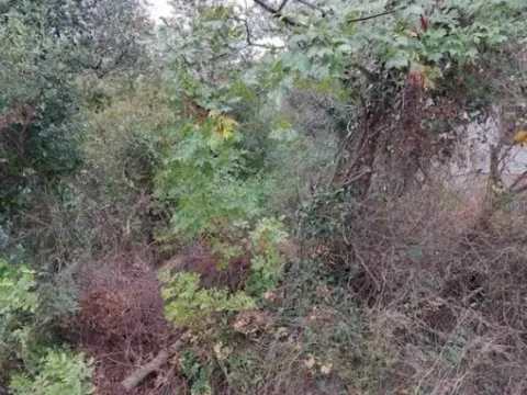 Sale, land lot, 220m², Ratac, Bar - image 5