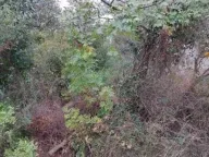 Prodaja, plac, 220m², Ratac, Bar - image 5