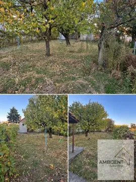 Zeleno dvorište sa stablima i travnjakom. - image 8