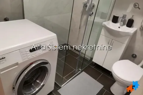 Izdavanje, dvosoban stan, 60m², Stari Merkator, Novi Beograd Sve Podlokacije - image 14