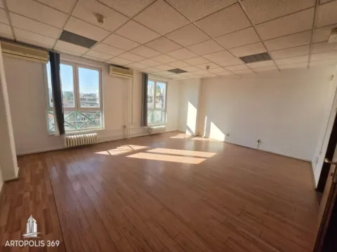 Izdavanje, poslovni prostor, 210m², Botanička Bašta, Palilula Sve Podlokacije - image 1
