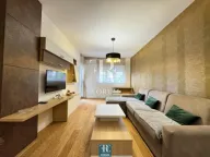 Izdavanje, jednosoban stan, 50m², Central Point, Podgorica - image 2