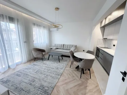 Izdavanje, jednosoban stan, 60m², Stari Aerodrom, Podgorica - image 3