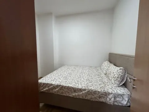 Izdavanje, stan, 43m², Zabjelo, Podgorica - image 4