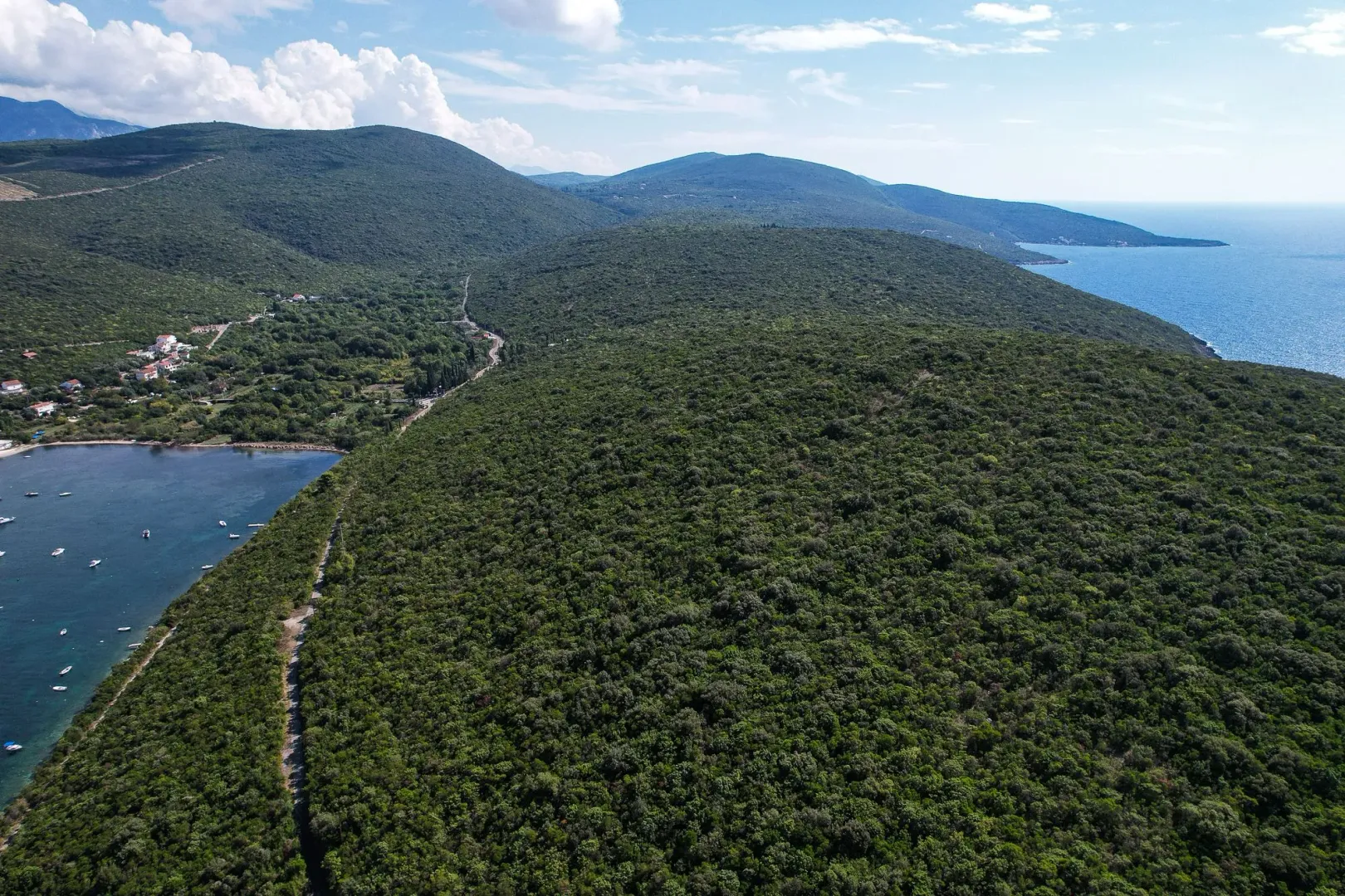 Pogled iz vazduha na šumoviti pejzaž, uvalu i more.