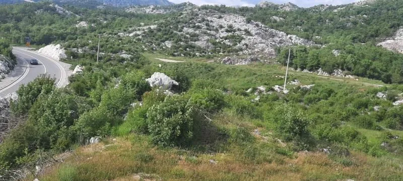 Prodaja, plac, 30000m², Cetinje, Crna Gora