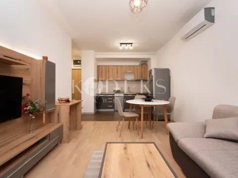 Izdavanje, jednosoban stan, 44m², Pobrežje, Podgorica - image 2