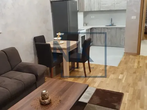 Izdavanje, jednosoban stan, 54m², Ljubović, Podgorica - image 3