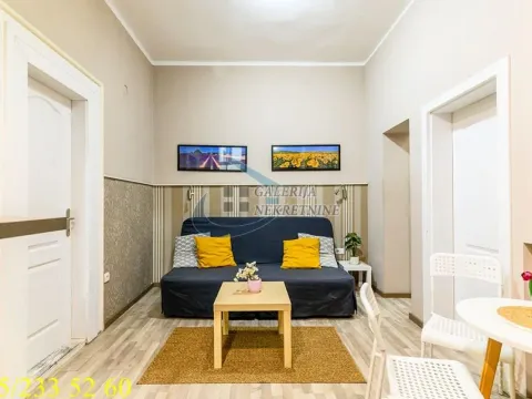 Izdavanje, dvosoban stan, 30m², Skadarlija, Beograd - image 2