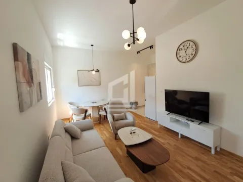 Rent, one bedroom apartment, 44m², Zabjelo, Podgorica - image 4