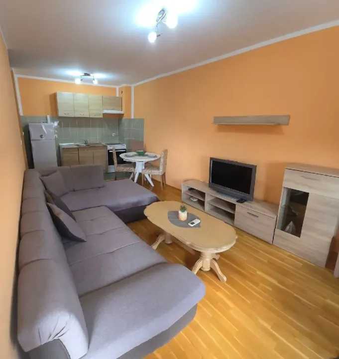 Rent, one bedroom apartment, 40m², Preko Morače, Podgorica